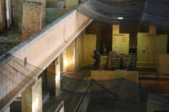 69cash_war_race_2016_160  